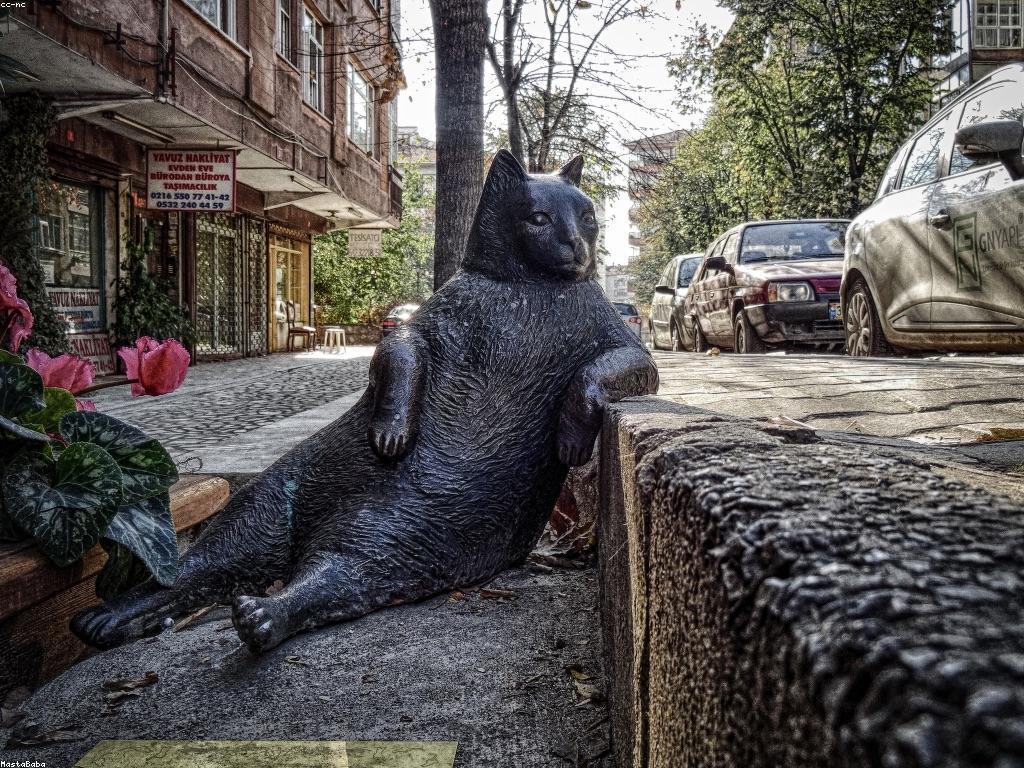 ការយល់ដឹងអំពីបច្ចេកទេសការប្រមូលប្រាក់